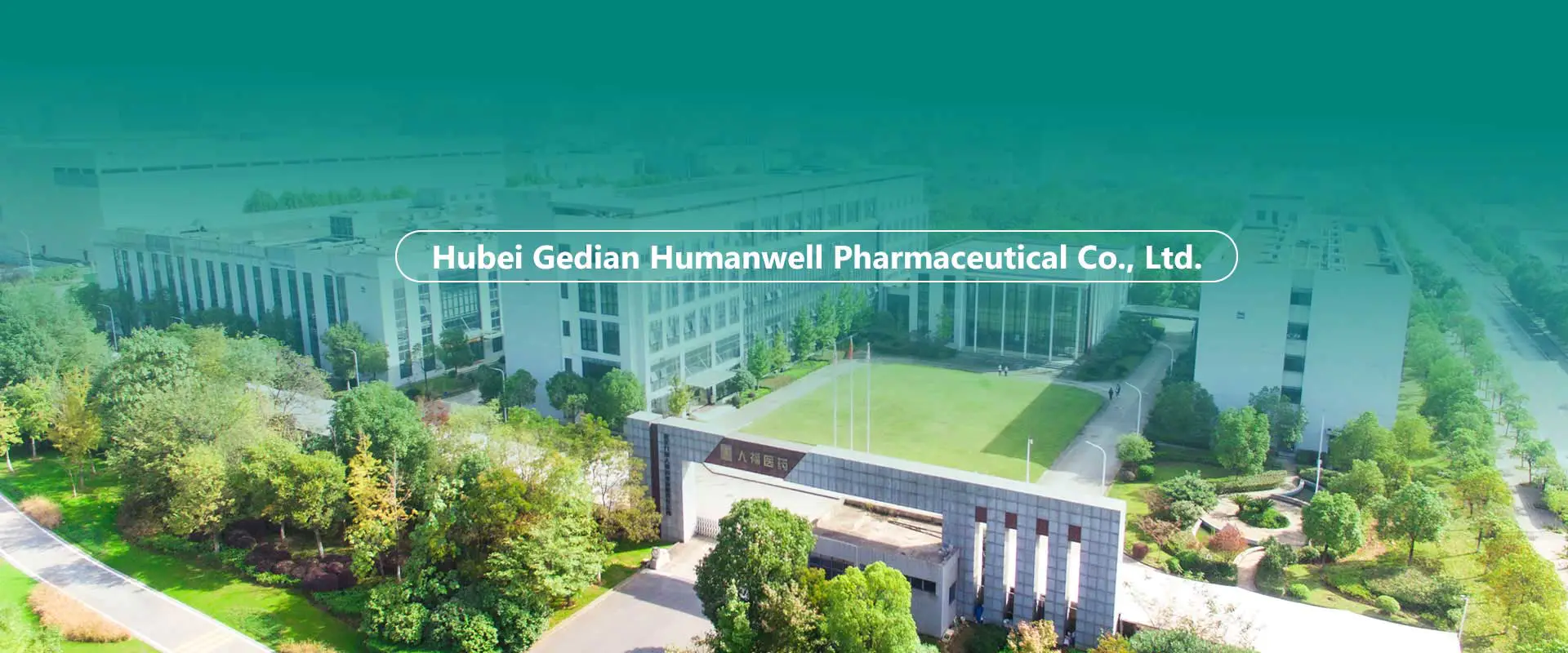 Chinese API's, tussenproducten, formuleringsfabriek